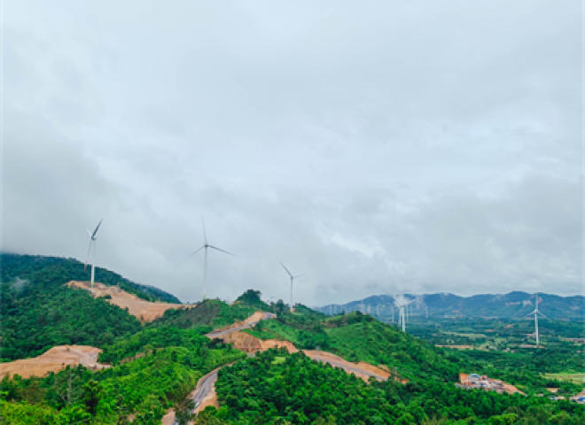 Ninh Thuận đề xuất gia hạn giá ưu đãi cho điện gió
